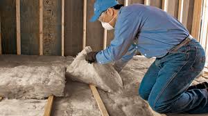 Best Eco-Friendly or Green Insulation Solutions  in Gman, IL